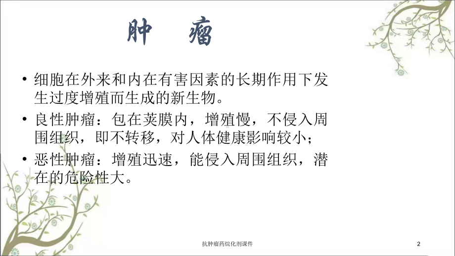 抗肿瘤药烷化剂课件.ppt_第2页