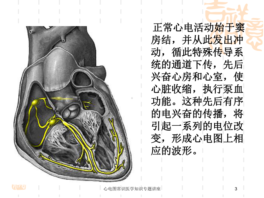 心电图常识医学知识专题讲座培训课件.ppt_第3页