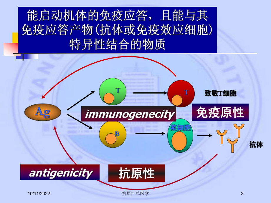 抗原汇总医学培训课件.ppt_第2页