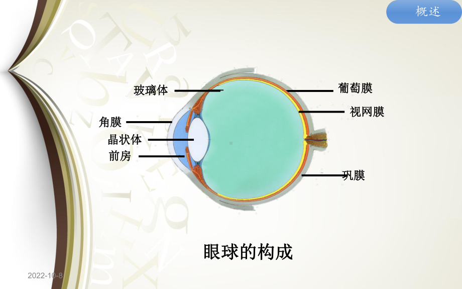 巩膜炎专题知识宣讲培训课件.ppt_第3页