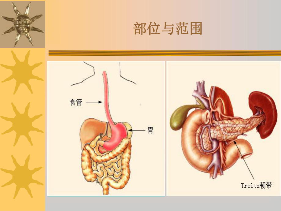 急性消化道大出血的监测及新进展课件.pptx_第3页