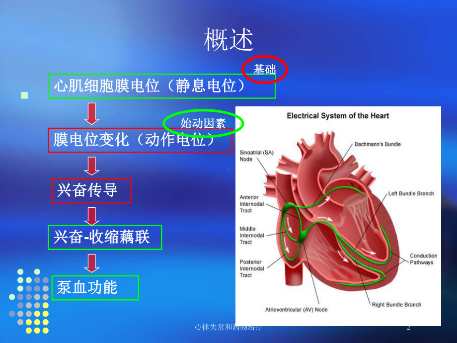 心律失常和药物治疗培训课件.ppt_第2页