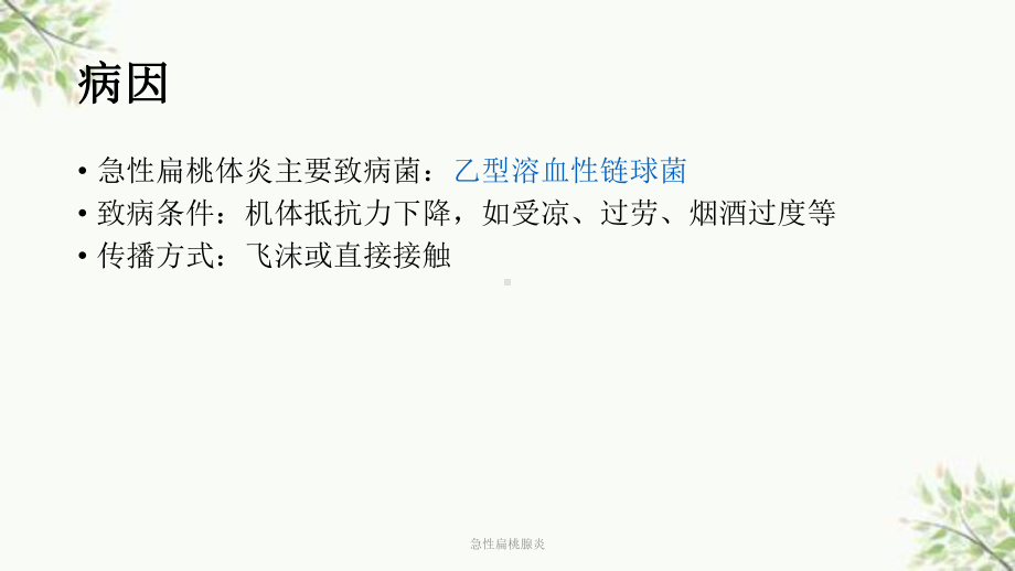 急性扁桃腺炎课件.ppt_第3页