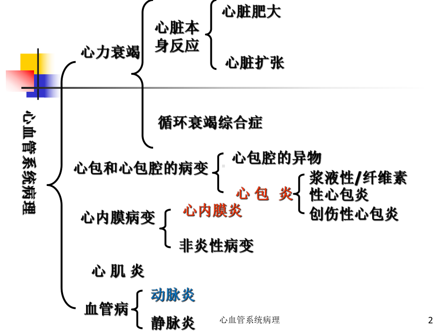 心血管系统病理课件.ppt_第2页