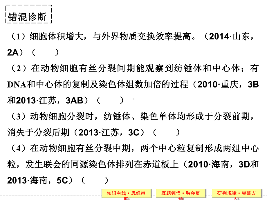 有丝分裂和减数分裂课件.ppt_第3页