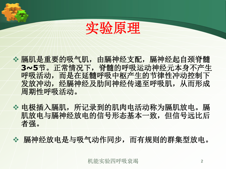 机能实验四呼吸衰竭培训课件.ppt_第2页