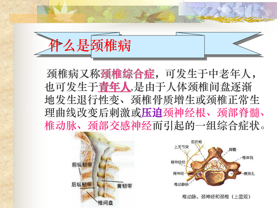 教师保健颈椎操课件.ppt_第2页