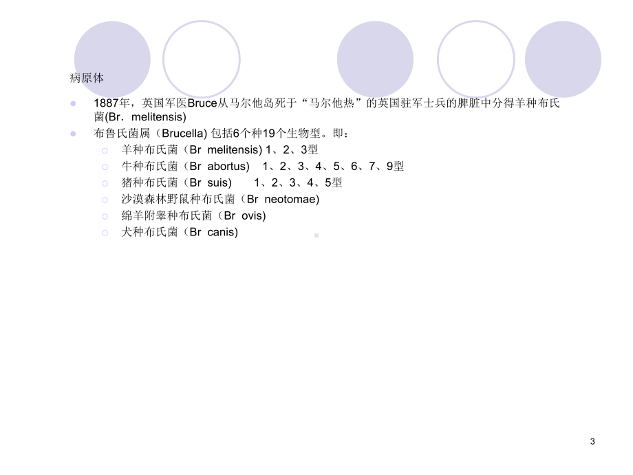 布氏杆菌病的诊断与治疗课件.ppt_第3页