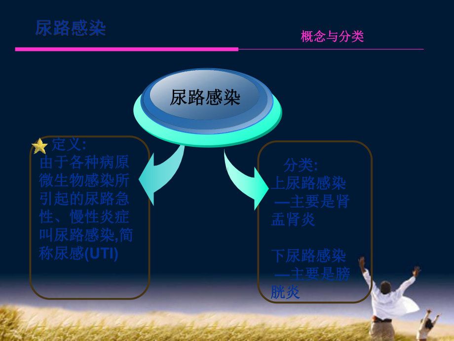 尿路感染鉴别诊断培训课件.ppt_第2页