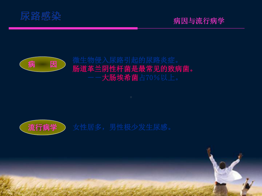 尿路感染鉴别诊断培训课件.ppt_第3页