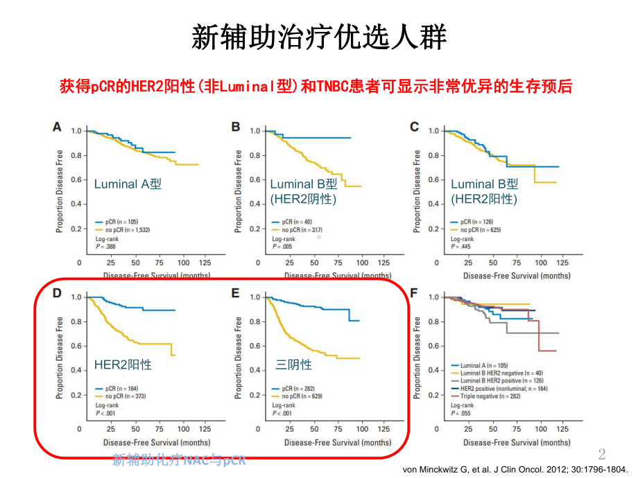 新辅助化疗NAC与pCR培训课件.ppt_第2页