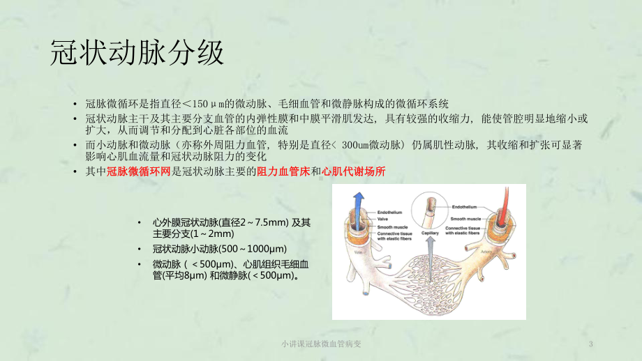 小讲课冠脉微血管病变课件.ppt_第3页