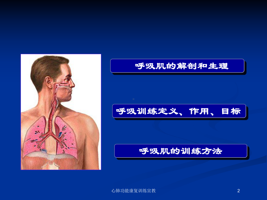 心肺功能康复训练宣教培训课件.ppt_第2页