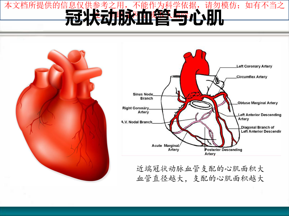 急性心肌梗死和心脏性猝死的防治培训课件.ppt_第3页