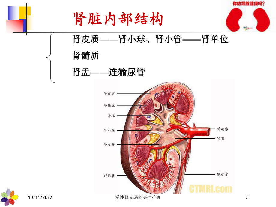 慢性肾衰竭的医疗护理培训课件.ppt_第2页