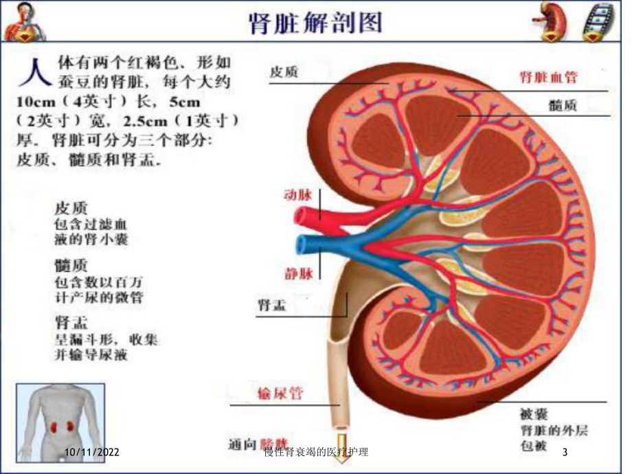 慢性肾衰竭的医疗护理培训课件.ppt_第3页