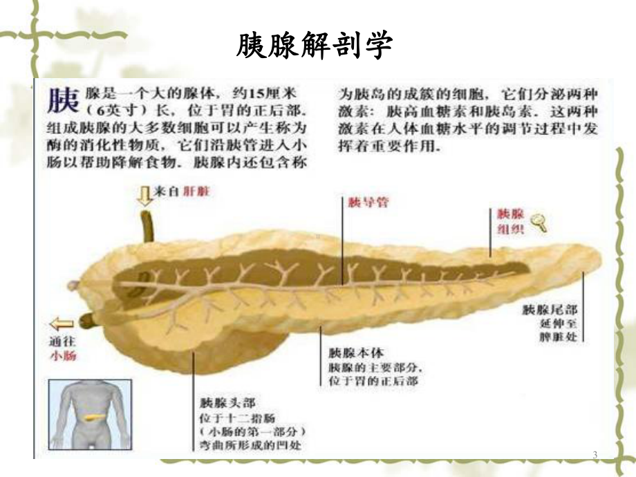 急性胰腺炎的诊疗与护理优质课件.ppt_第3页