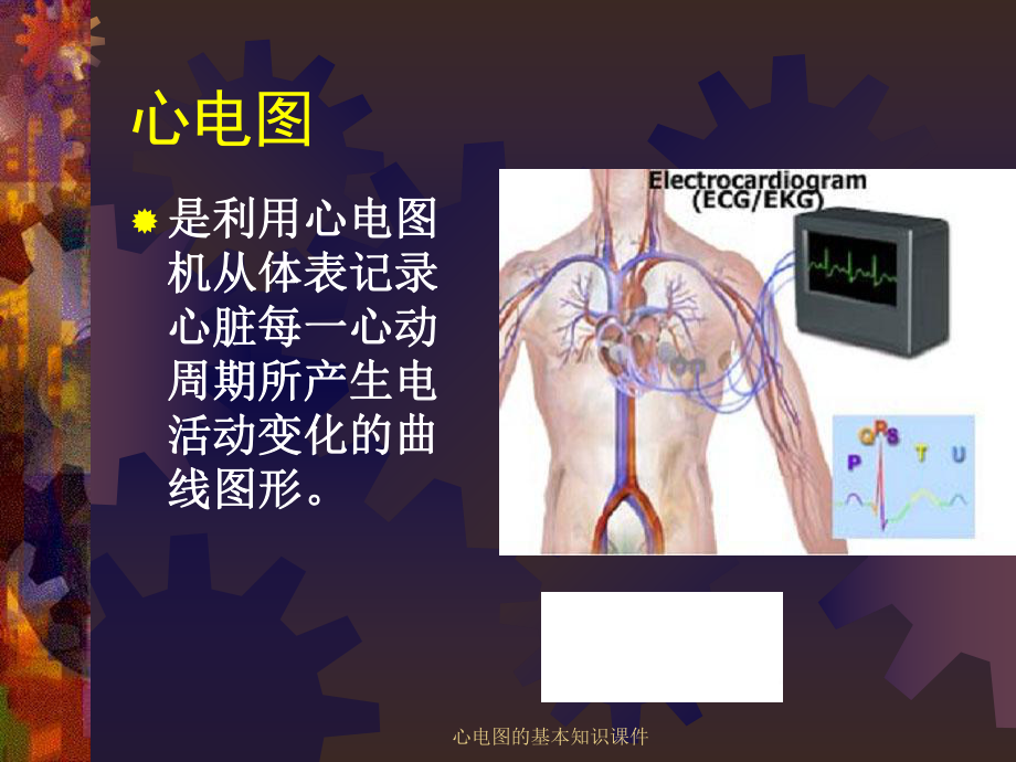 心电图的基本知识课件.ppt_第3页