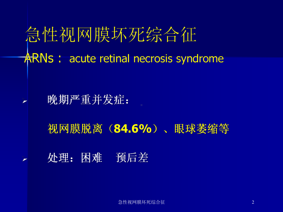 急性视网膜坏死综合征培训课件.ppt_第2页