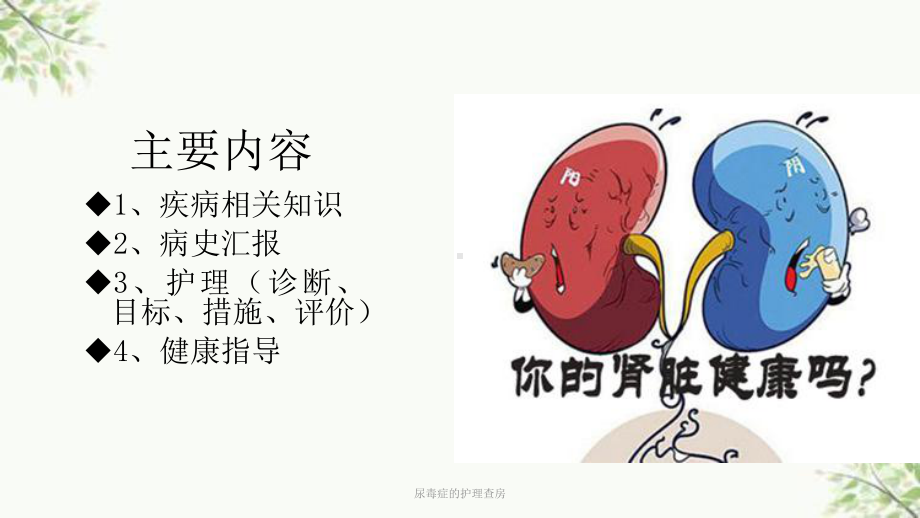 尿毒症的护理查房课件.ppt_第2页