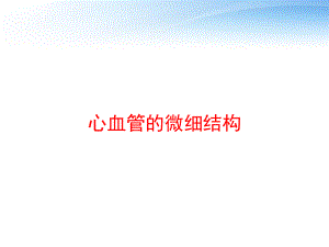 心血管的微细结构-课件.ppt