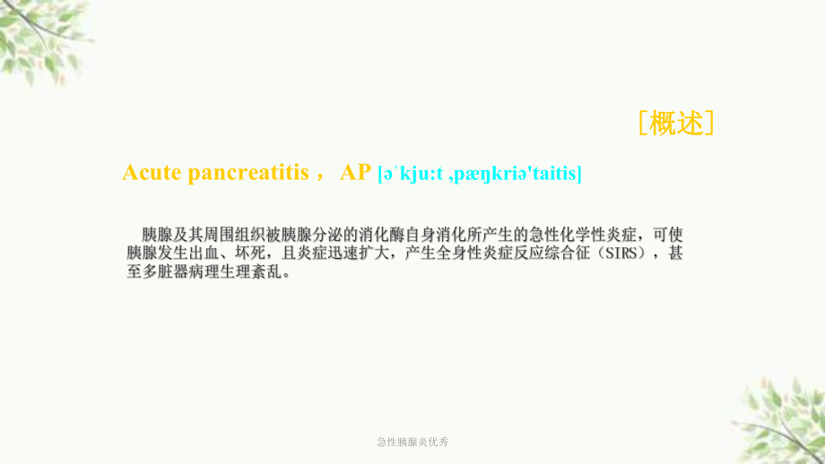 急性胰腺炎优秀课件.ppt_第3页