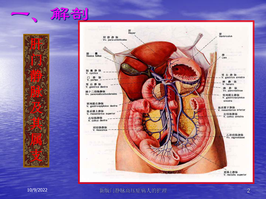 新版门静脉高压症病人的护理培训课件.ppt_第2页