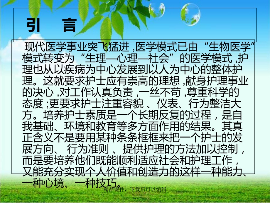 护士的执业素养与礼仪课件.ppt_第2页