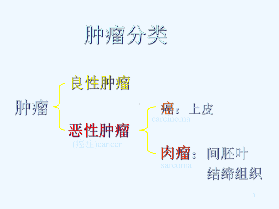 恶性肿瘤发病概况与防治原则课件.ppt_第3页