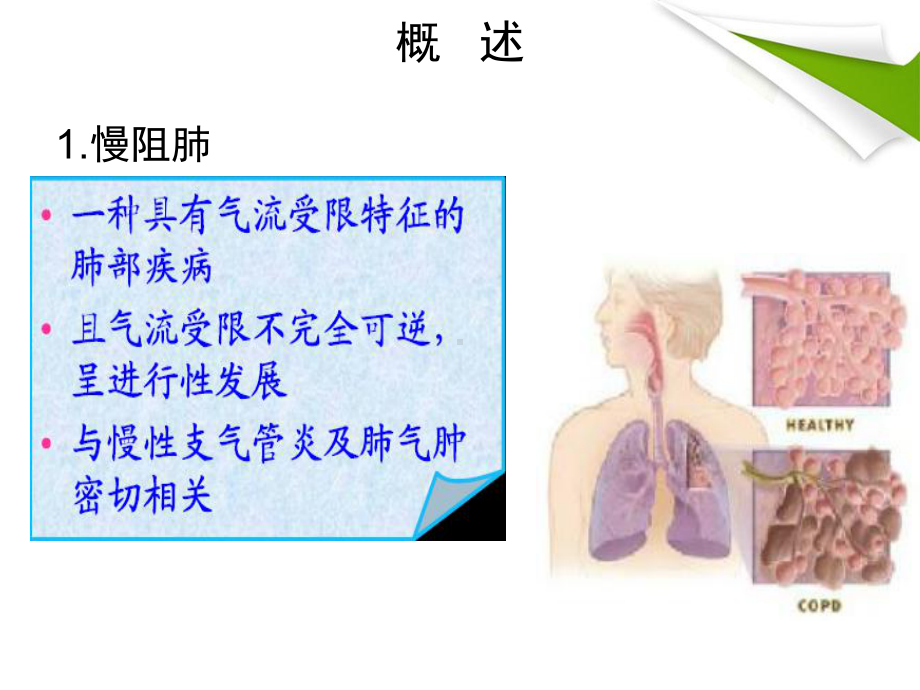 慢性阻塞性肺疾病(COPD)培训课件-2.ppt_第3页