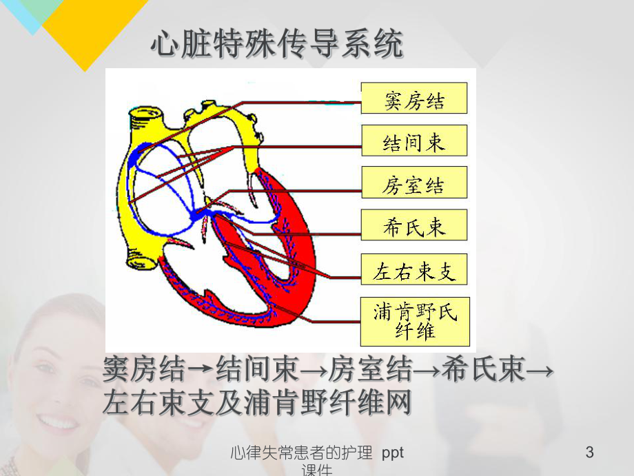 心律失常患者的护理-课件.ppt_第3页