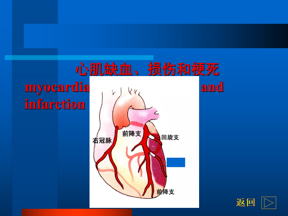 心电图基础知识教程三课件.pptx_第2页