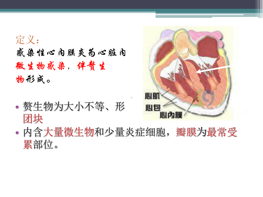 感染性心内膜炎护理医学教学课件.ppt_第3页