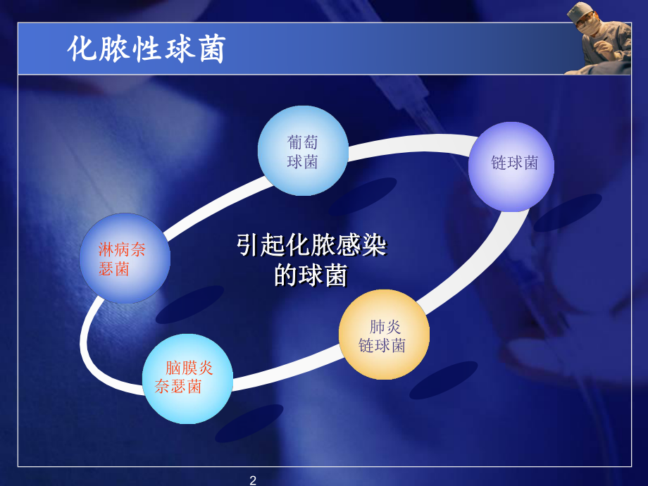 常见病原菌化脓性细菌课件.ppt_第2页