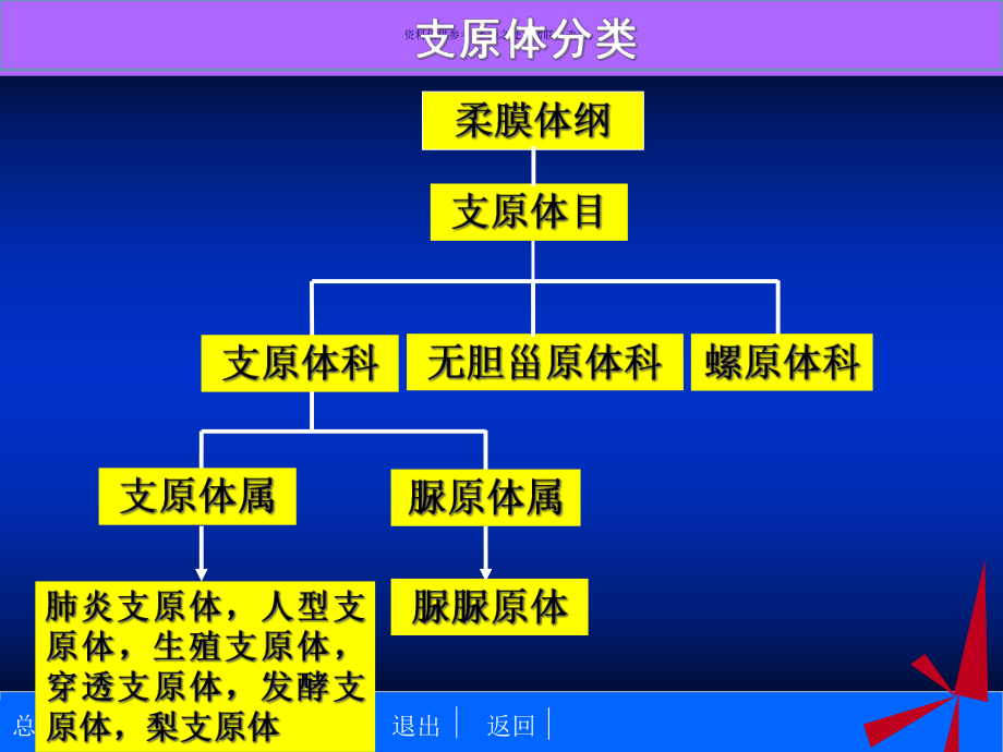 支原体医学宣教课件.ppt_第2页