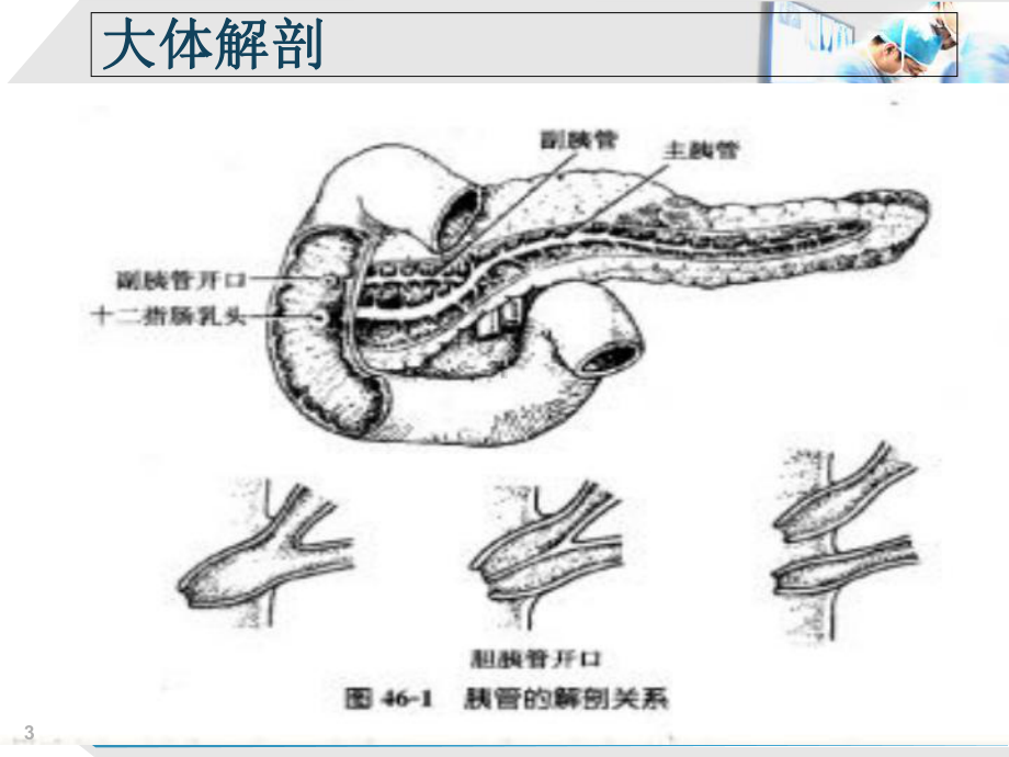 急性胰腺炎病人护理课件-2.ppt_第3页