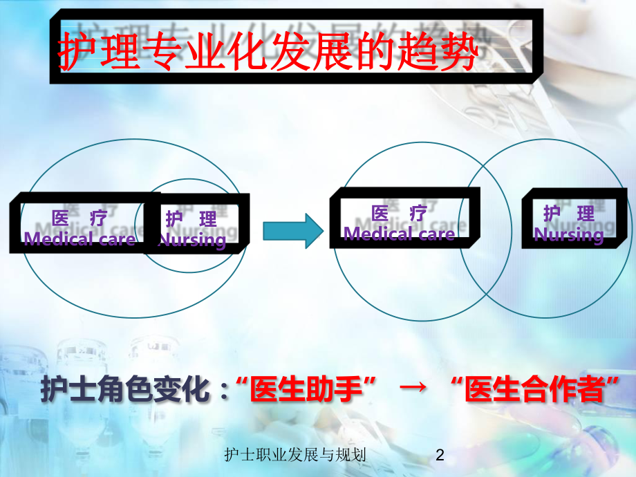 护士职业发展与规划培训课件.ppt_第2页