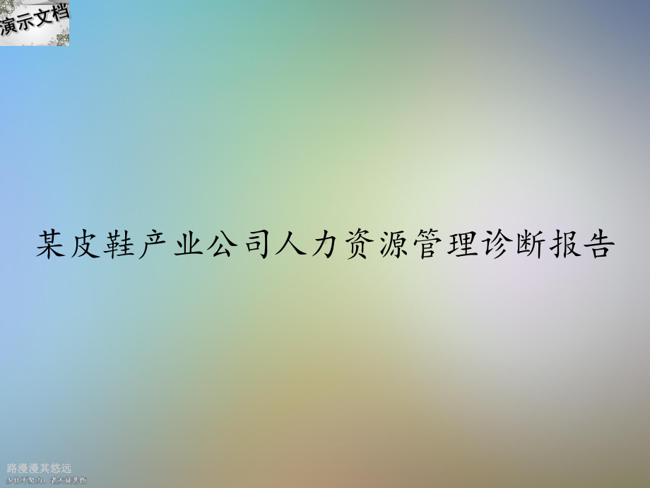 某皮鞋产业公司人力资源管理诊断报告课件.ppt_第1页