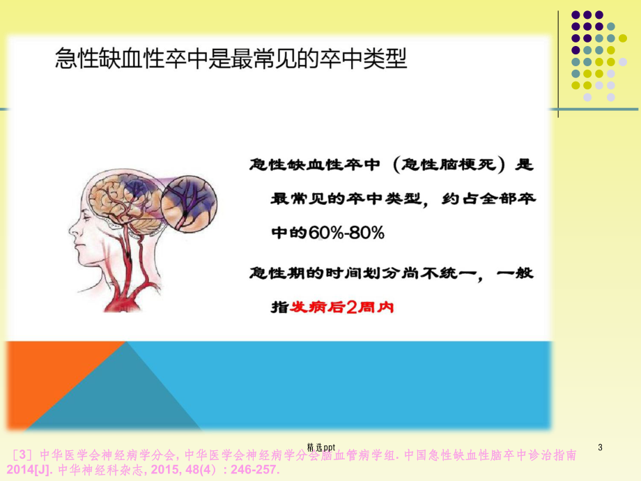 急性缺血性脑卒中课件.ppt_第3页