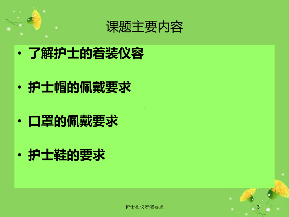 护士礼仪着装要求培训课件.ppt_第3页