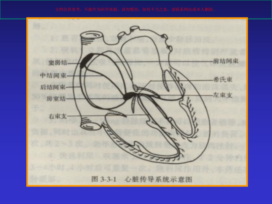 恶性心律失常诊治规范培训课件.ppt_第2页