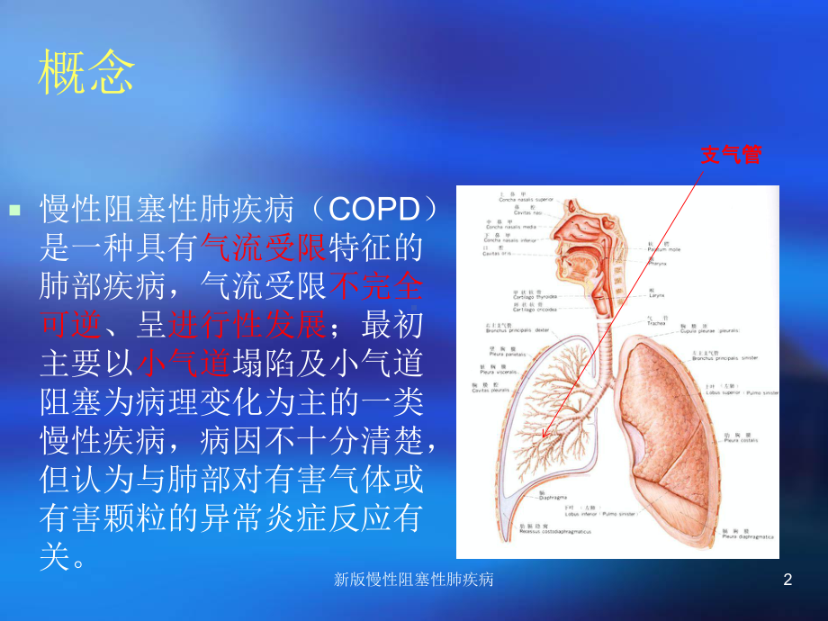 新版慢性阻塞性肺疾病培训课件.ppt_第2页