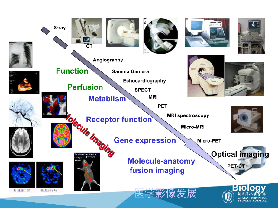 核医学与分子影像描述课件.ppt_第3页