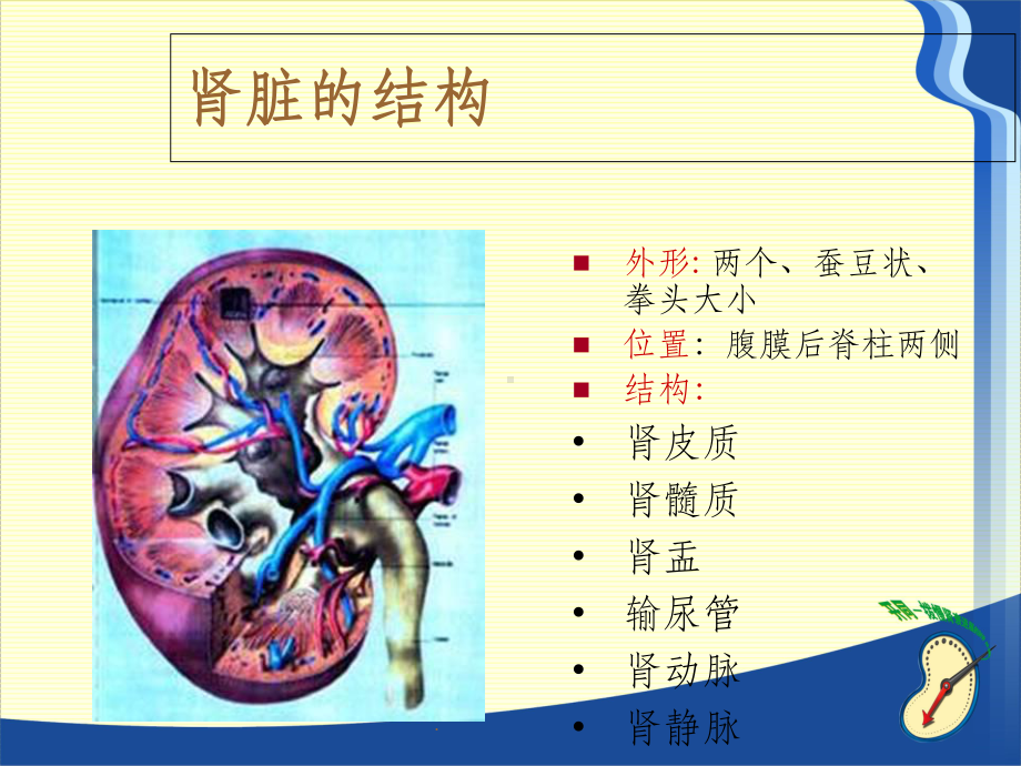 慢性肾脏病的营养治疗版本课件-2.ppt_第3页