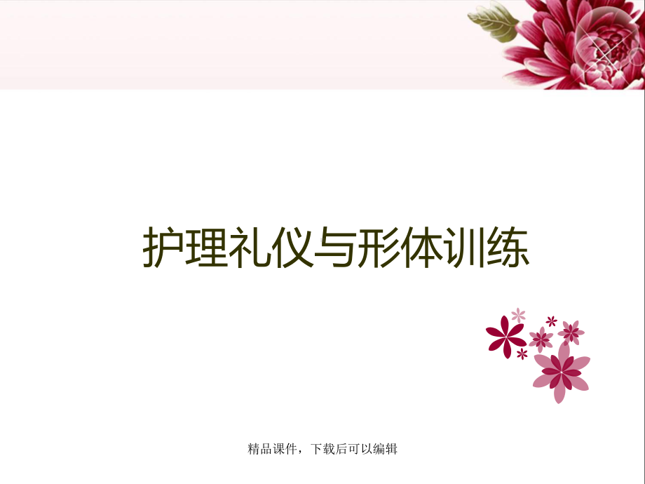 护理礼仪概述课件.ppt_第1页