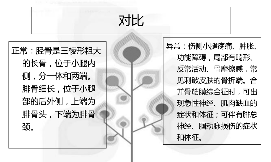 左胫腓骨远端开放性骨折课件.ppt_第3页