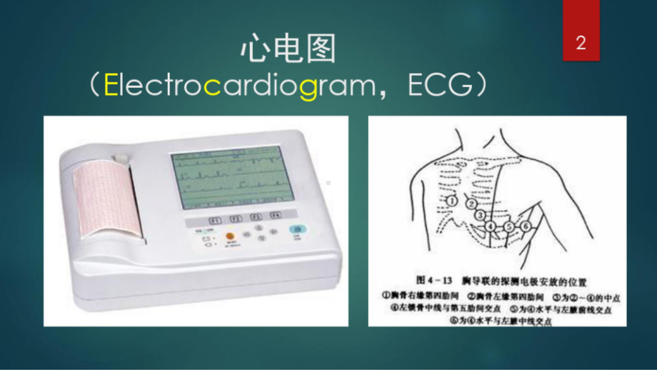 心电图学习(完整整理版)课件.ppt_第2页