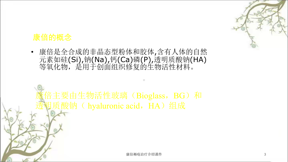 康倍褥疮治疗介绍课件.ppt_第3页