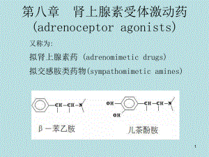 拟肾上腺素药课件-2.ppt