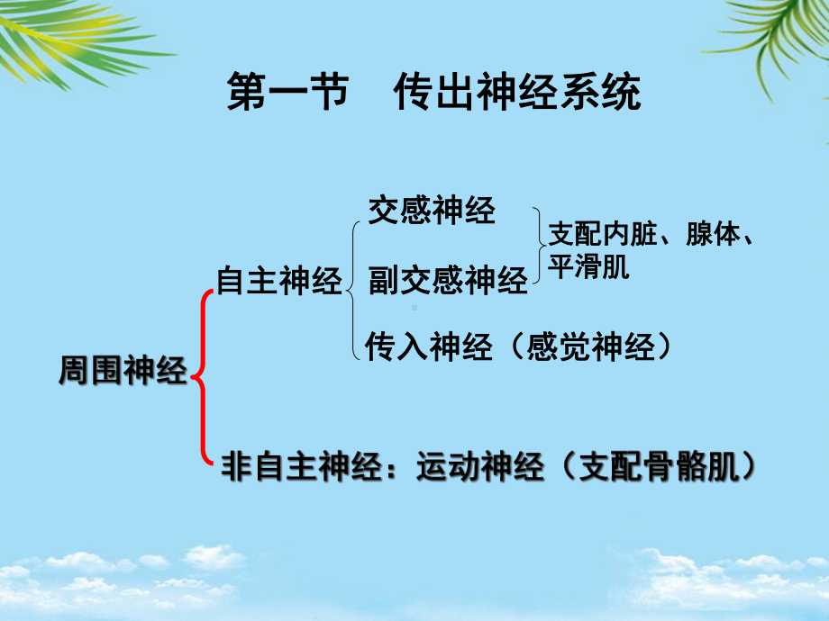 教培用药理学第二章外周神经系统药理演示文稿课件.ppt_第3页